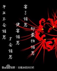 彼岸的世界。彼岸花