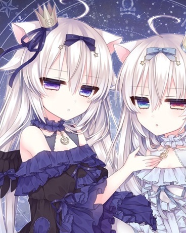 狐主大人搞姬搞姬