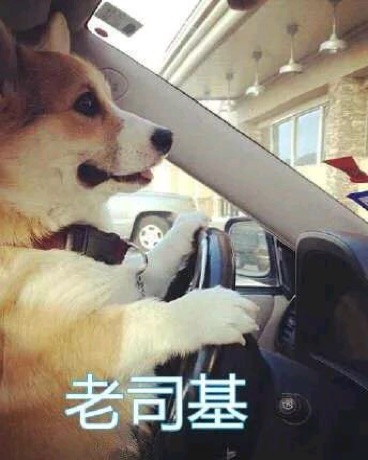 异能者的戒律法