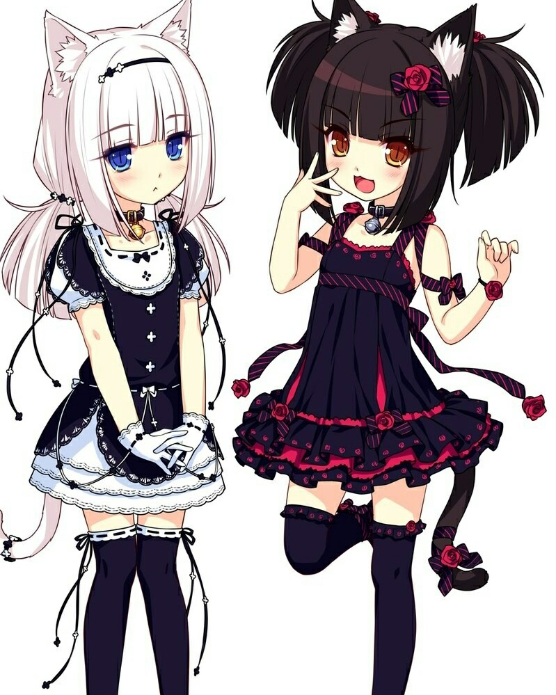 或许这就是宅之力吧