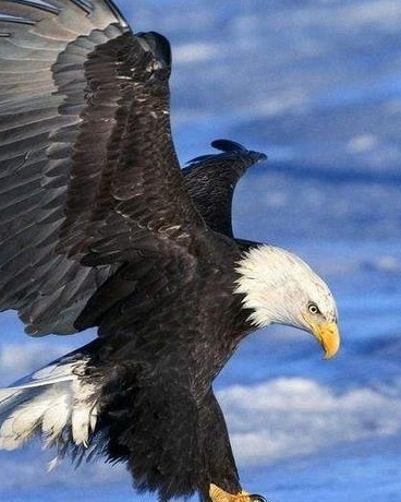 这个世界很和平