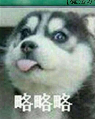 境界的无咫轮目