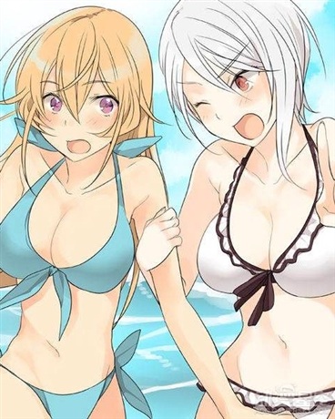 为什么我的大小姐不是金发傲娇