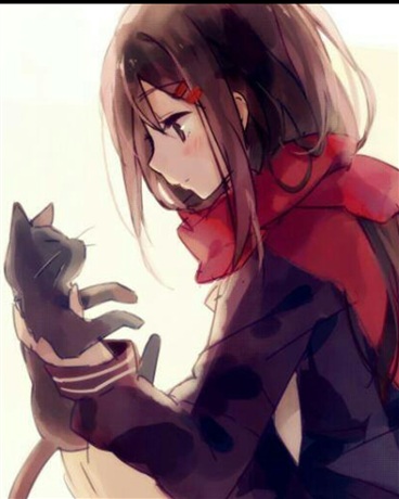 我与那被风吹起的女孩