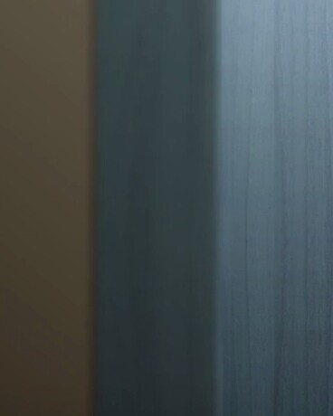 凤凰山上的小犬妖