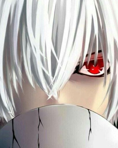 金木小天使的校园生活