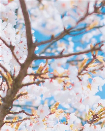 我的青春物语记录