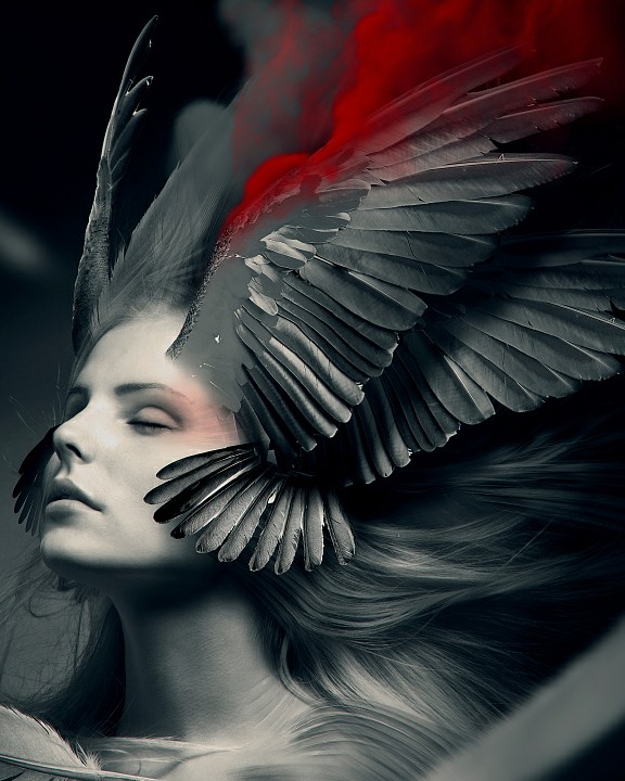 黎明的太阳不再升起