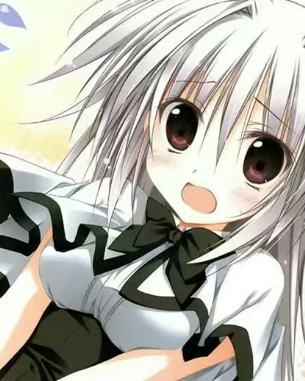 冰与雪的交响乐