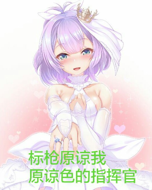 原谅色的指挥官