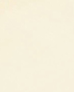 异世界妹妹物语