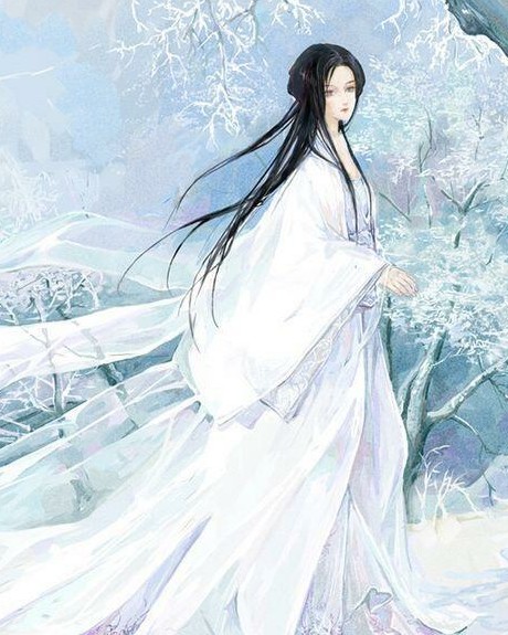 独月寻雪
