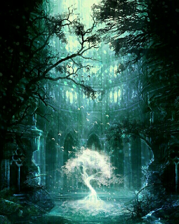 来自世界树的观察笔记