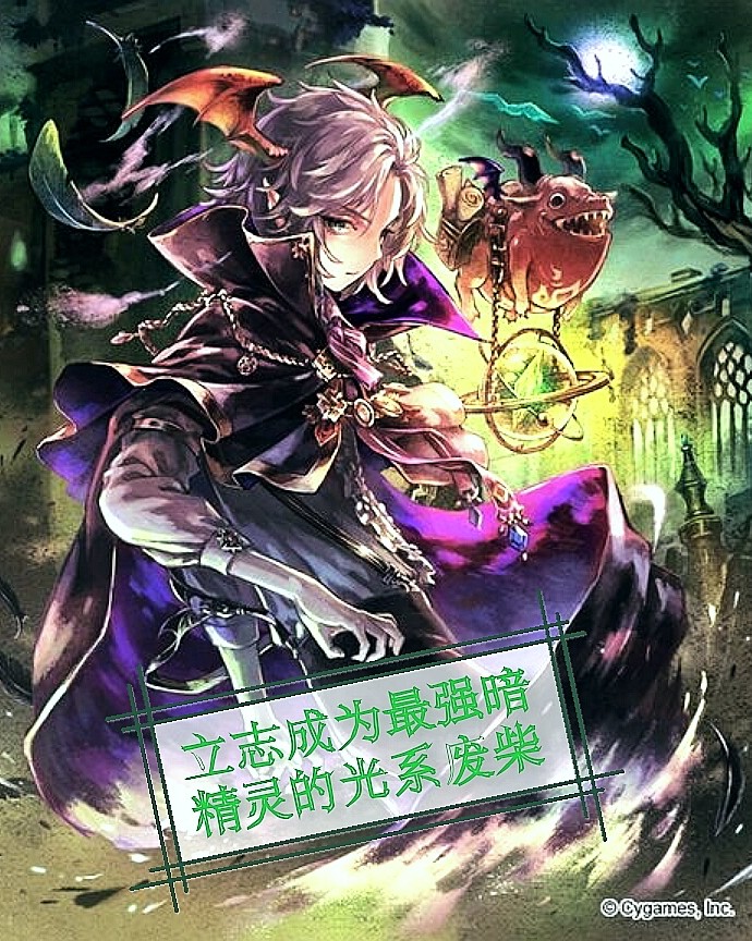 立志成为最强暗精灵的光系废柴