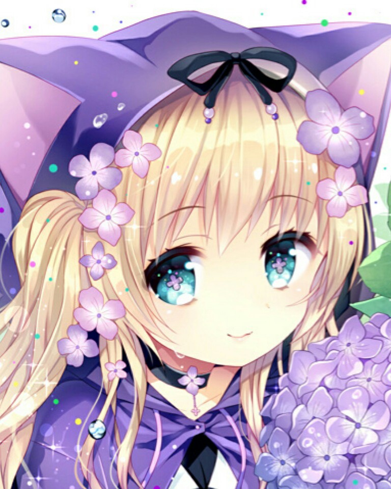 猫之言