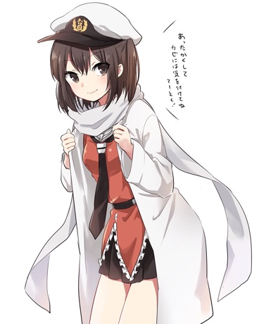 我的舰队我做主