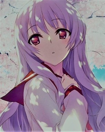 暗杀噪音与恋爱旋律