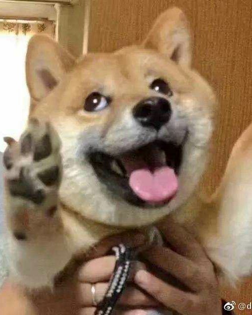 怪人协会后勤部部长