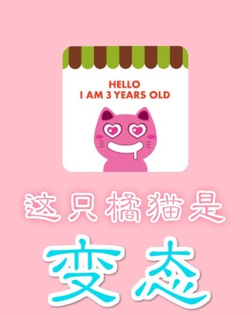 这只橘猫是变态