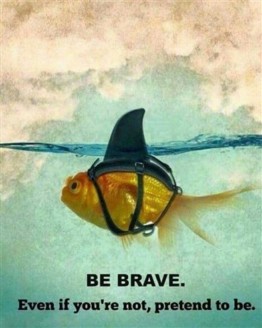 致我终将逝去的青春