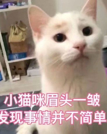 魔法学校灾难怎么这么多