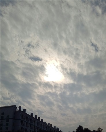 我的刀只有十厘米长