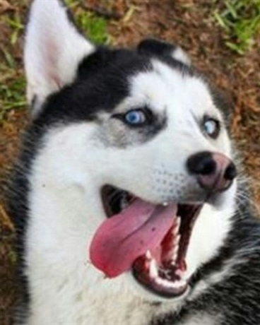 这样算平凡的校园生活吗