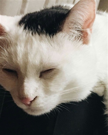 目标征服异世界