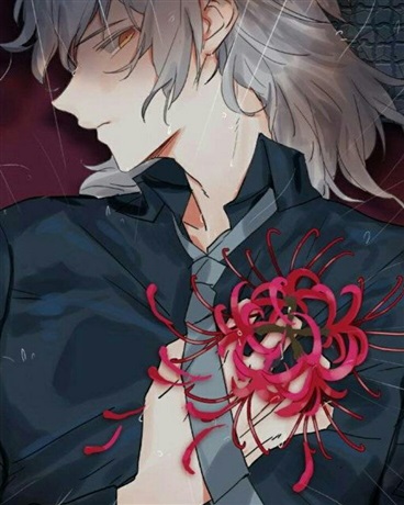 身为最强之人可以在世界立足