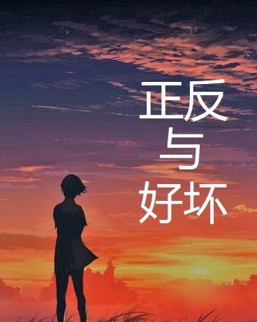正反与好坏