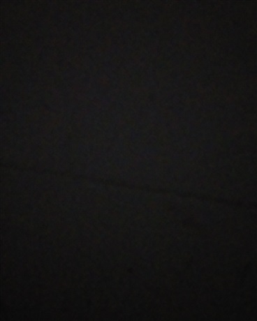 滥宰高中的上网部