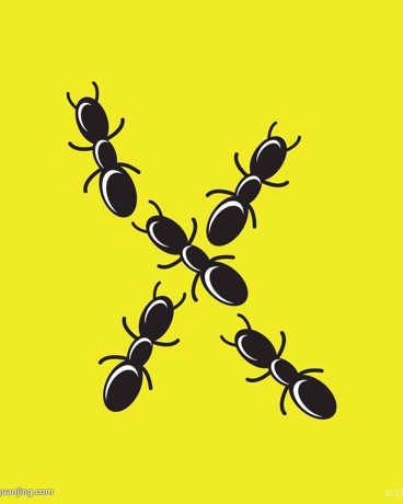 蚁与人的黑暗童话