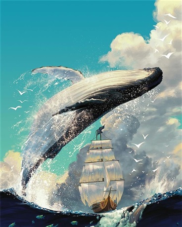 海鸦迁徙年