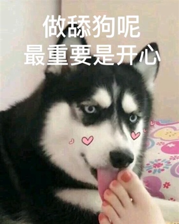 每天小故事