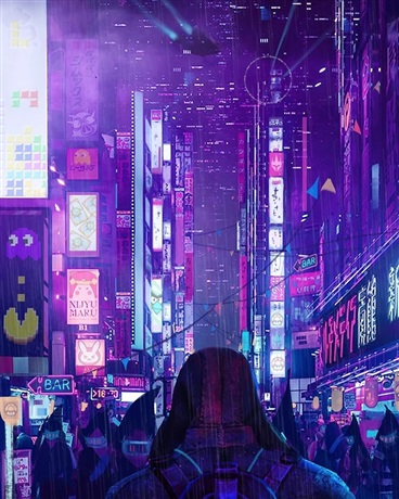 第十一街的白猫