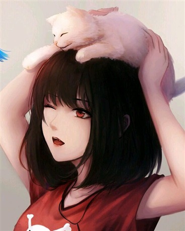 与某女高中生的人生相谈