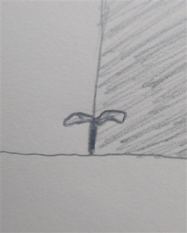 另一个世界的毁灭