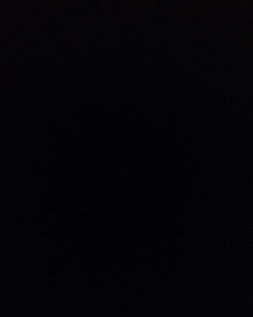 带着系统去二次元