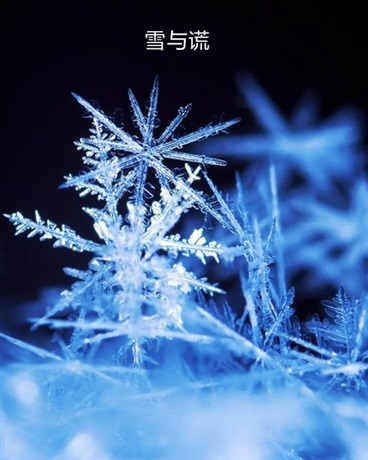 我才不要染上她们的颜色