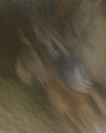 这个世界线有点难