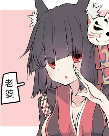 总统竞选后援群233