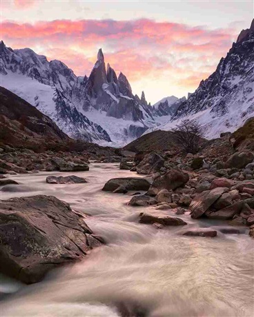 修仙末世录之万族回归