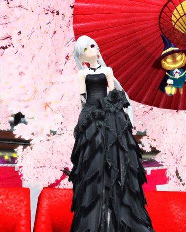 夜月的太阳花田