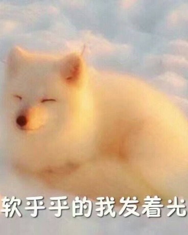 带着孩子也能在异世界生存