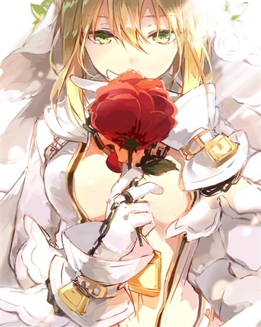 是橘子不是柠檬