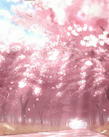 修罗的日常生活