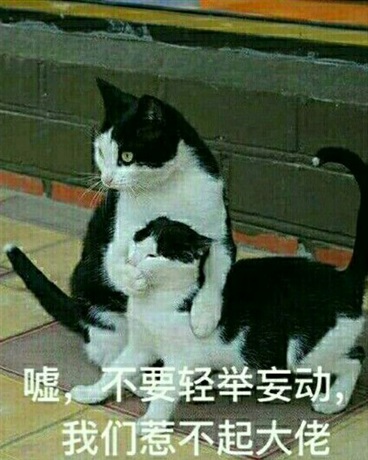 我对我的室友很无奈