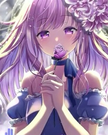 薰衣草之善爱无界