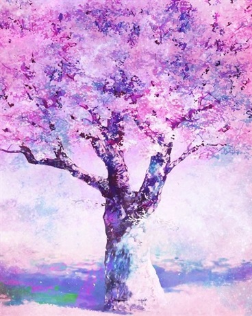 灵槐花