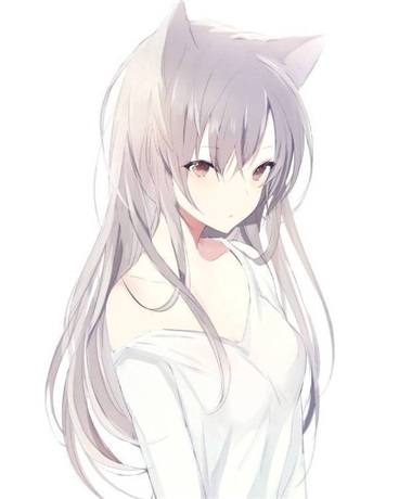 堕落的王与不笑猫